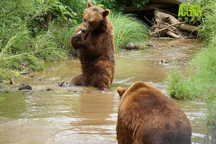 ������ʷ����ѧ��ץ���ˡ�