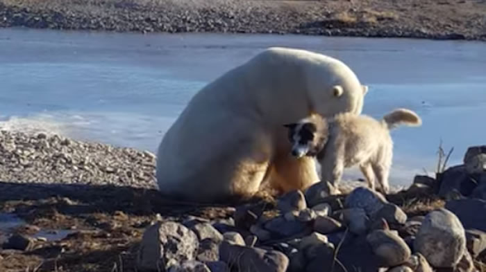 ���������ḧ����ʿ��ֻ�Ǽ����������˲�������