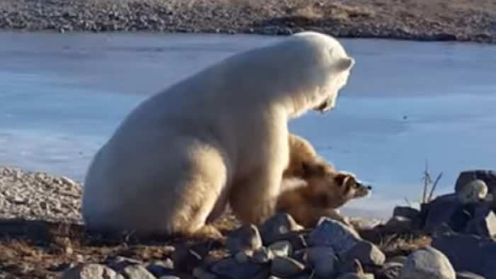 ���������ḧ����ʿ��ֻ�Ǽ����������˲�������