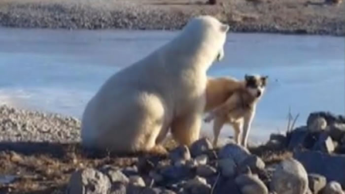 ���������ḧ����ʿ��ֻ�Ǽ����������˲�������