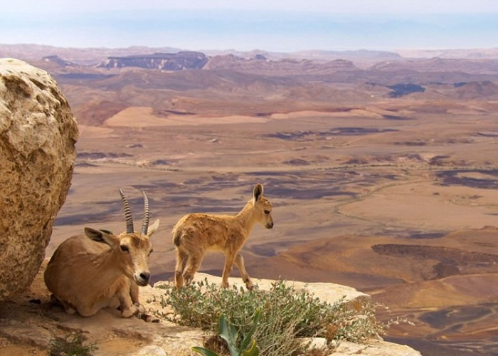 Сɽ��վ���ͱ��ԡ�