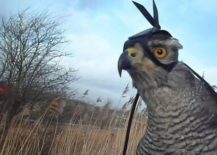 оԱڲӥͷװ¼㵽Ұù