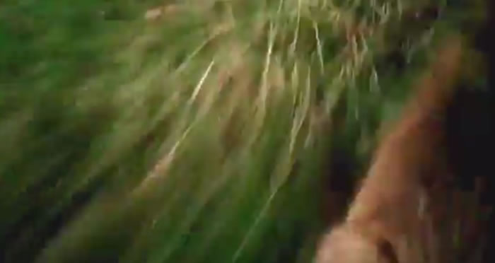 оԱڲӥͷװ¼㵽Ұù