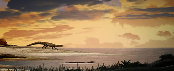 �����е�ʷǰ���������ξ�������Litorosuchus somnii����ԭͼ����褻棩