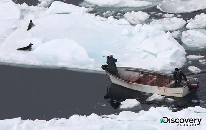 �����ڸ��������棬ʱʱ�̶̿�����Բ���ɱ¾��