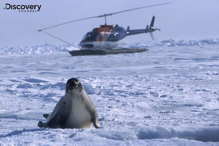 ���ʰ�����������Ϊ��������������������