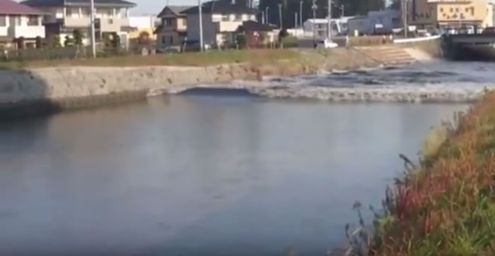 不少民众拍到类似现象。