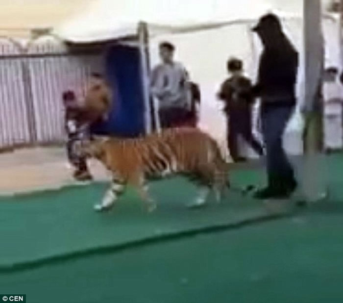 ɳ�ذ������м�һֻѵ�������ϻ�ͻȻ����һ���Թ�Ůͯ