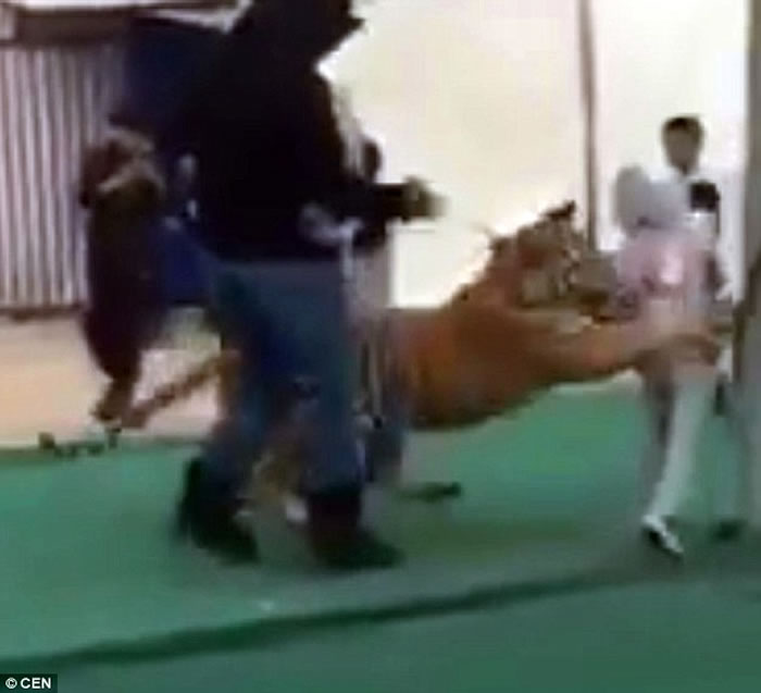 ɳ�ذ������м�һֻѵ�������ϻ�ͻȻ����һ���Թ�Ůͯ