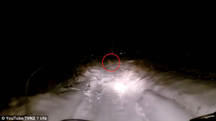 俄罗斯西伯利亚汽车行车纪录仪拍到疑为传说生物“喜马拉雅山雪人”深夜冲出公路