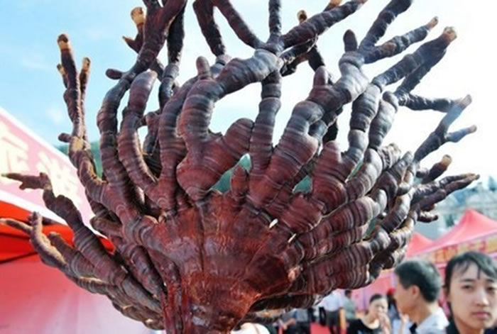 ׽״ľҰ֥Ϊ֥е¹ס