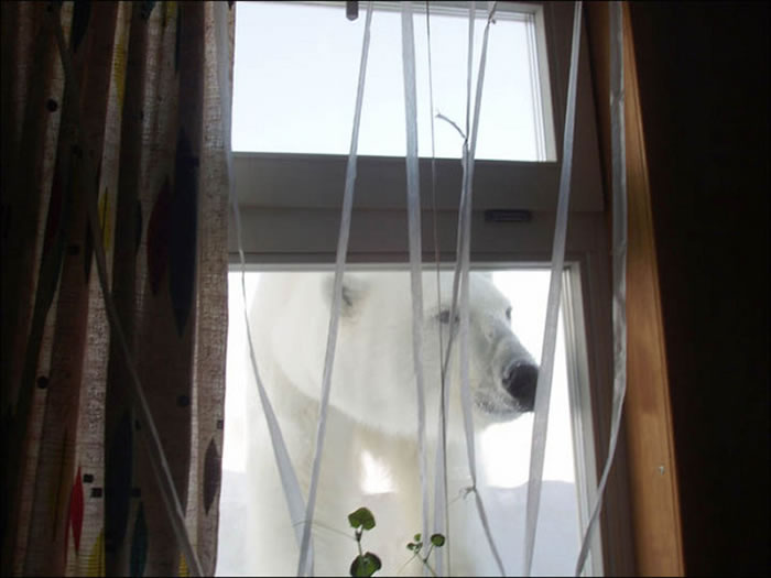 ��������Ϊ��ʳ�ܵ��������ɱ ��ʼ�ᵽ���ؾ��������ʳ��