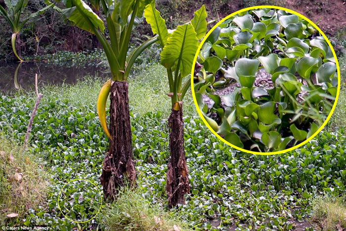 ����˹��Ӱʦ�������˹��ԭʼ����̽������ �ؼ�������Ƭʱ�Ż���