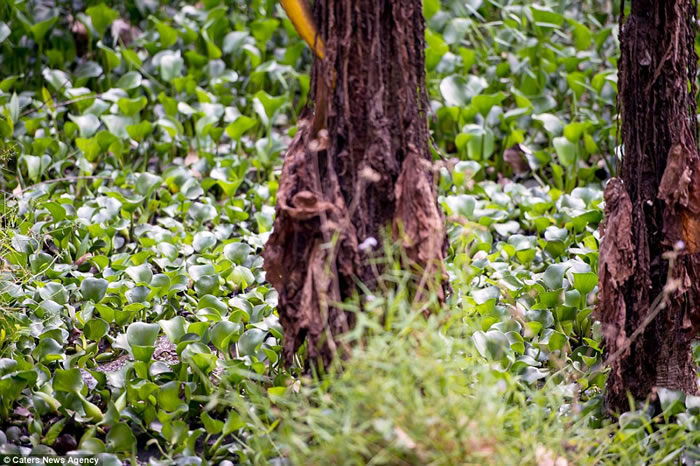 ����˹��Ӱʦ�������˹��ԭʼ����̽������ �ؼ�������Ƭʱ�Ż���