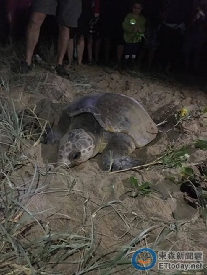 ������ʿ�������������ϰ�һ��������127�ŵ�