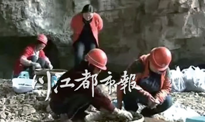 清理的过程中发现石制品