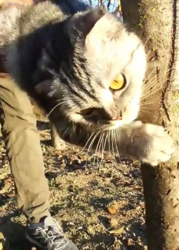 ���Ҳ�Ҫ�ؼң�����������������ץ���ɲ���