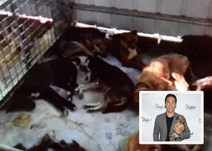 �����ˣ�Сͼ���������µĹ�ֻ��̲��������ڡ�