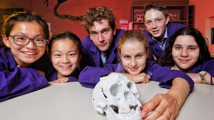 �Ĵ�����ī������˹��ѧԺ��ѧ���ɹ�ʹ��3D��ӡ�������Ƴ�ʷǰ���������ͷ�ǹ�