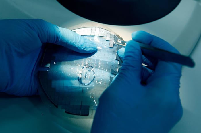 肯道尔正在检查纳米贴。这些矽晶片上带有许多沾附疫苗的细小针刺。 PHOTOGRAPH BY JULIAN KINGMA, ROLEX AWARDS