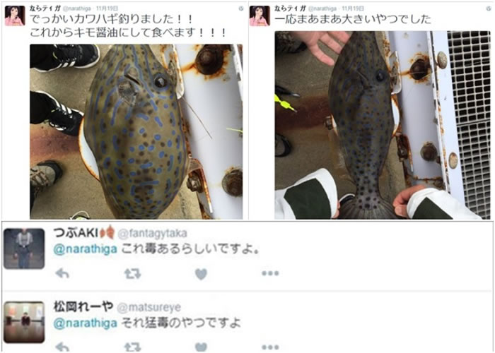 ձճԾ綾㡰̬ ȳԡһ