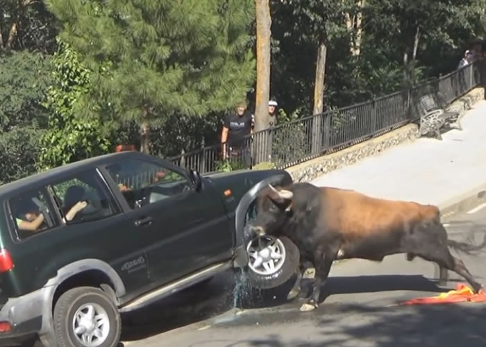 ������ǰ����������˦�ѣ���©��һЩ���������͵�Һ�塣