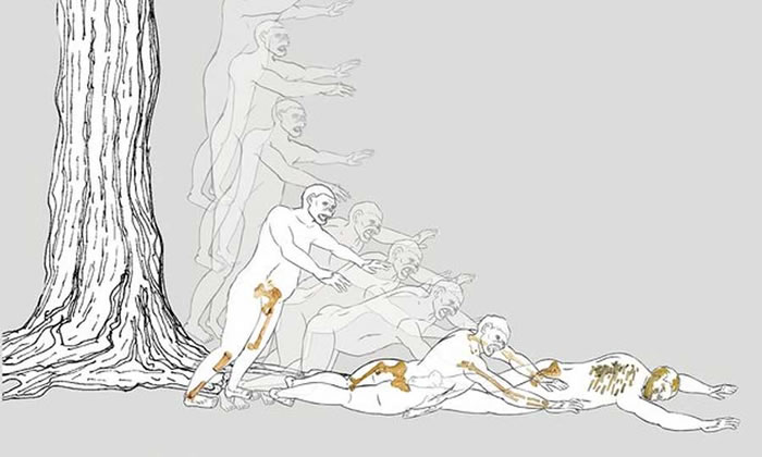 最近一项研究认为露西可能不小心从一棵高树上摔下致死。