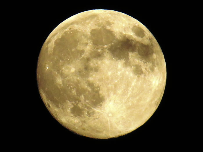 2016��12��14�մ�����