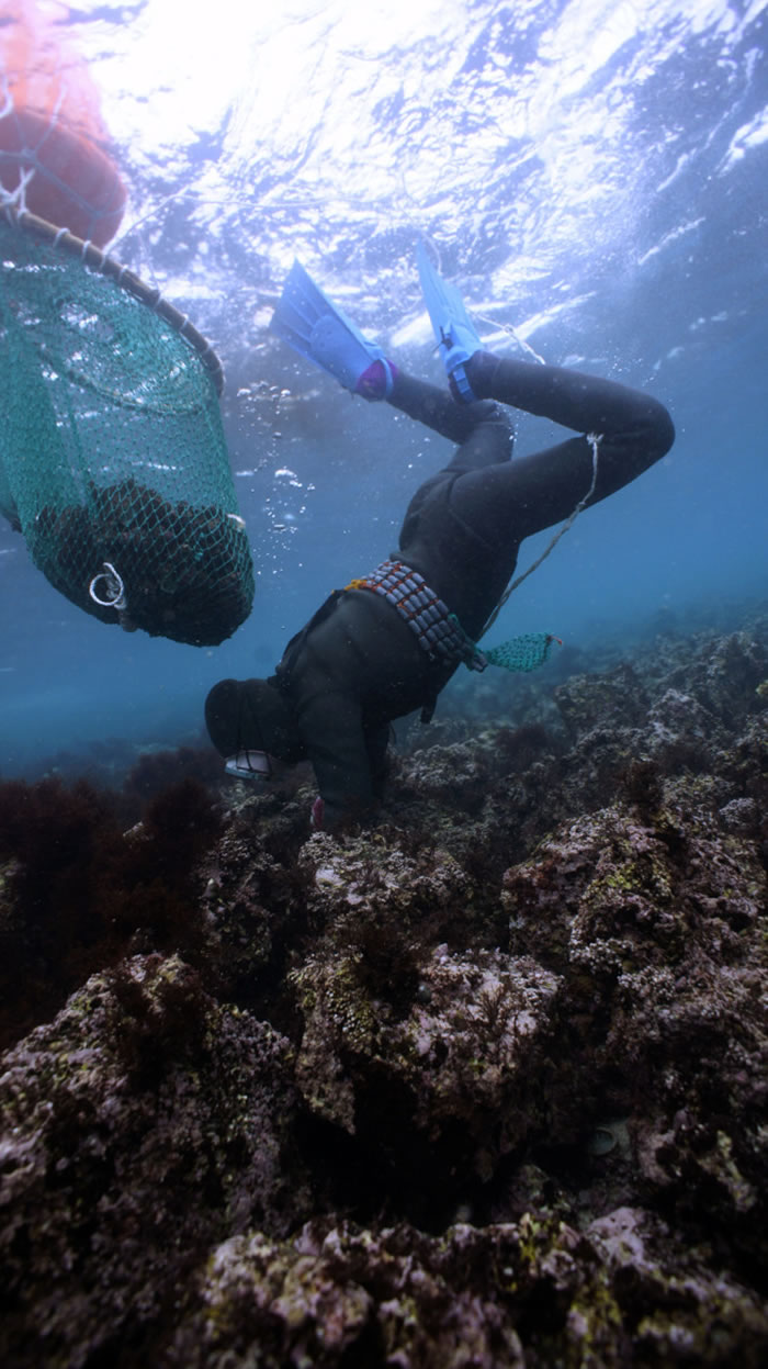 ���Ϲ��̿�����֯��ʽ���������ݺ�Ů�Ļ���������������Ļ��Ų�