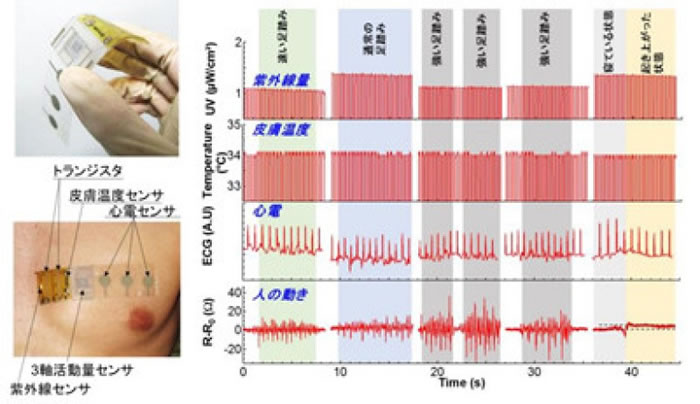 传感器贴片可以测定心率和活动量。