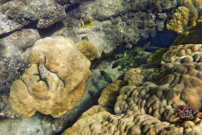 �º�Ĭ��������������