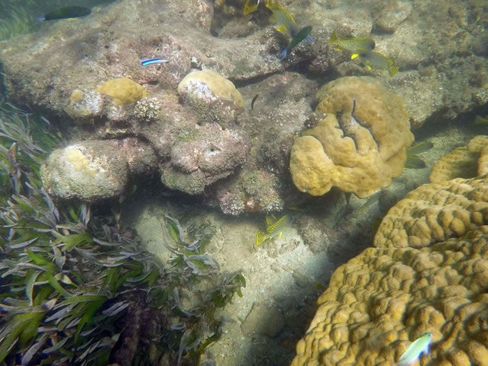 ��������Ĺ��ȿ��ɣ����ڵ��������������١�