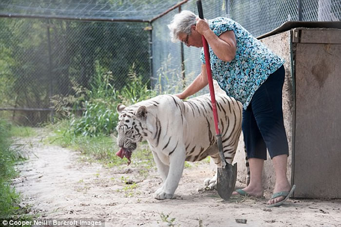 ��������62�긾������2ֻ�����ܺ�1ֻ�׻�������