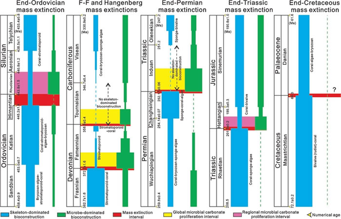 Hangenberg͡Ρ¼תڼǼΪ΢ΪｨԷȱ仯ͼ