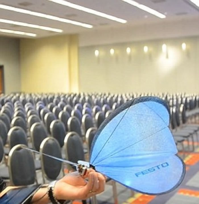 �����������������衣