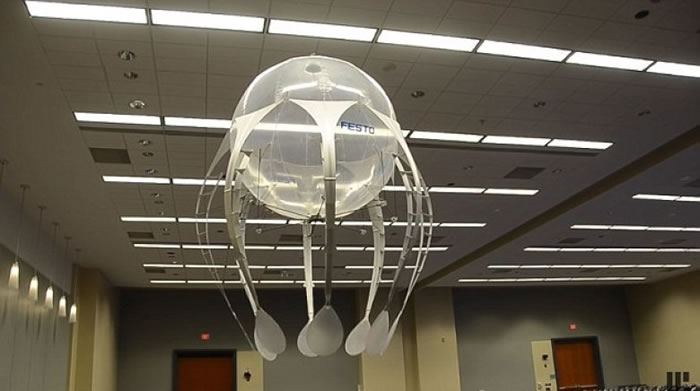 ����ˮĸ�������������ѡ�