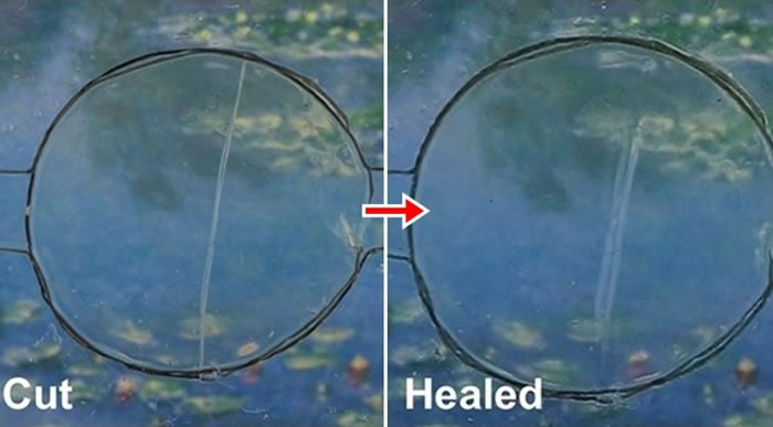 �о���Աָ�����ܹ������޸���