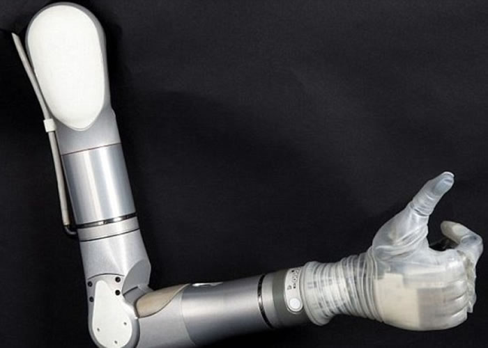 ��֫���ֵ��ܻ���ʿ��������ս����ʧȥ֫�����ʿ��