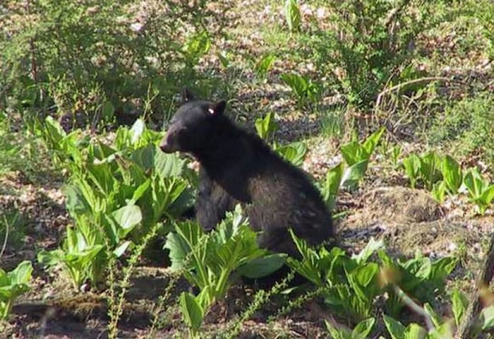 �������ݵ����ܼ��ڸոս�����