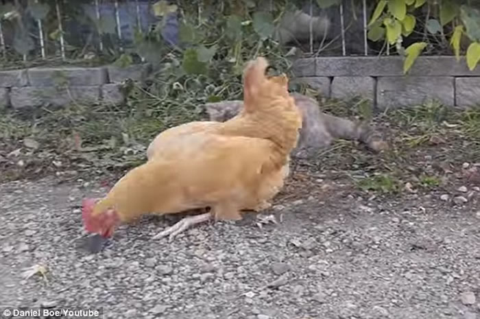 ����֥�Ӹ���˳���������������