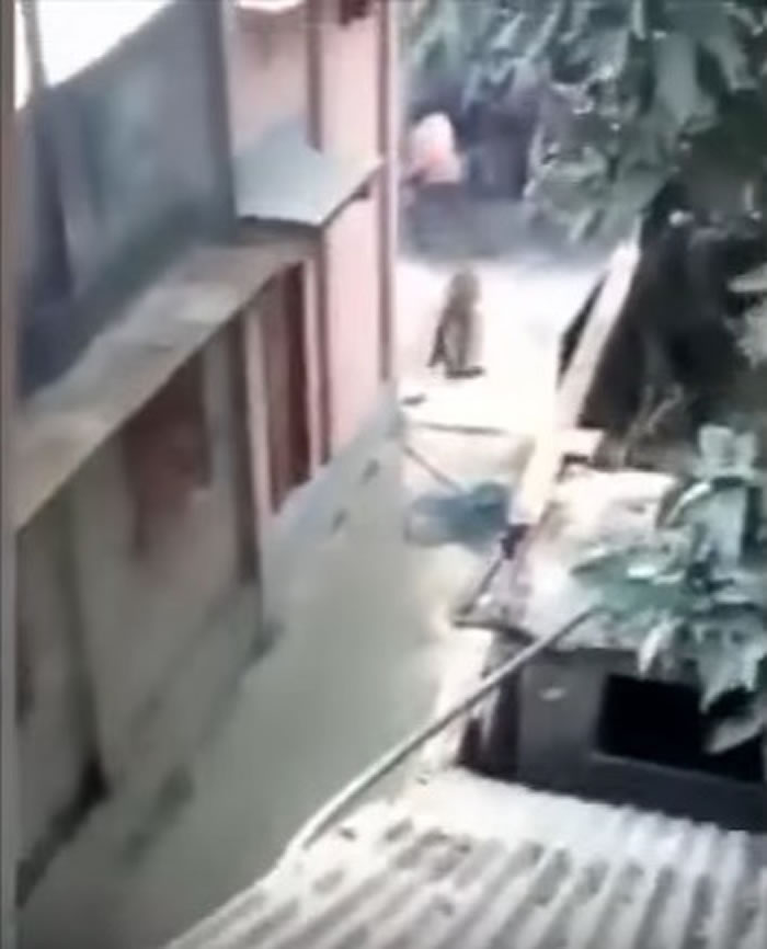 ����ͻ����ǽ�����ѳ�ȥ��