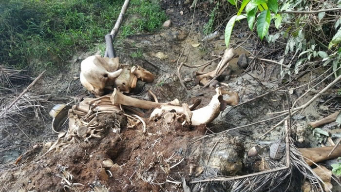 ��������ȴ���Ҽ�����׹�