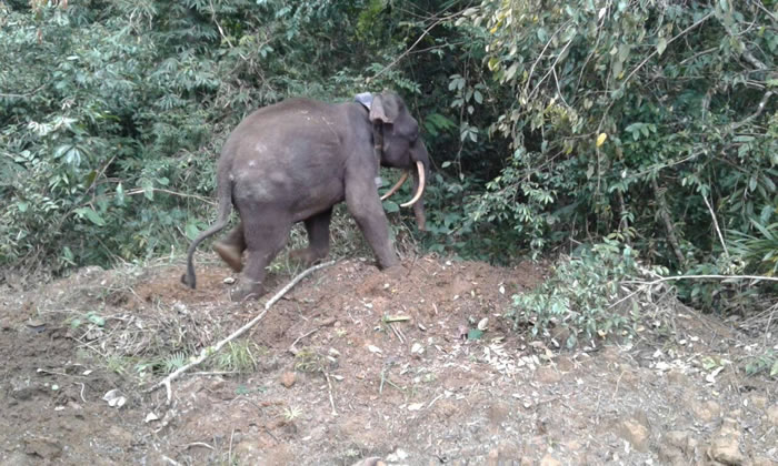 3����ǰ�ŸշŽ��������Ĺ������Ѳ���ɱ����