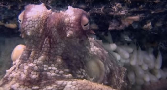 ����������Ѻ󣬻�粽������ػ��������������ǵ�����ͻ�������ȥ��