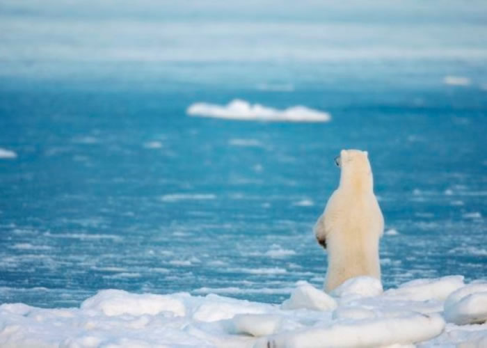 �������ı����ڽ⣬�����ܵ���Ϣ���������½���