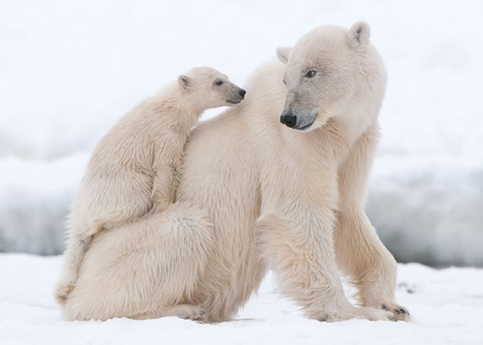 ȫ��ů������ܵ������������ѡ�