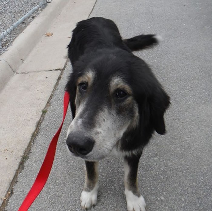 ʧȥͬ�����ĵĹ���