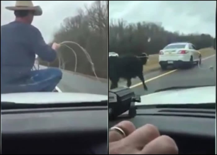 ��������ʻ���������������ţ�б�ά����