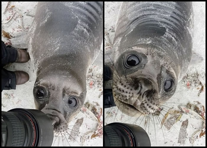 ����������������Ӱʦһ�����ġ�