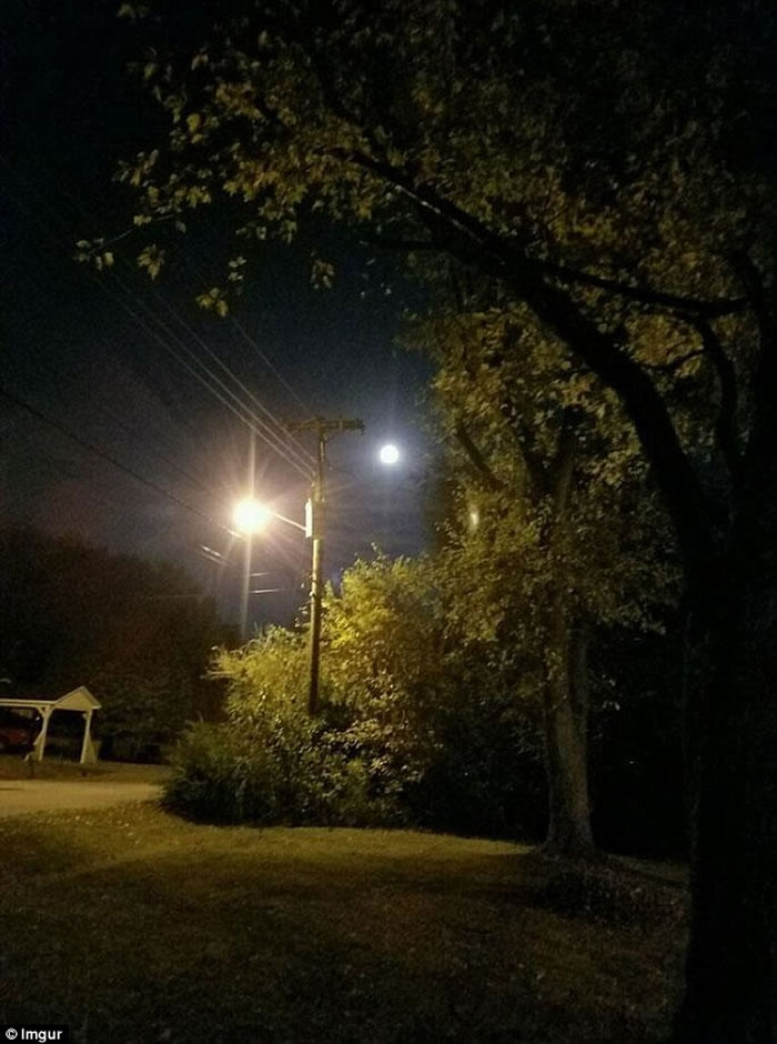 月圆之夜灵异照 小妖极速跑过草坪